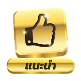 แนะนำ